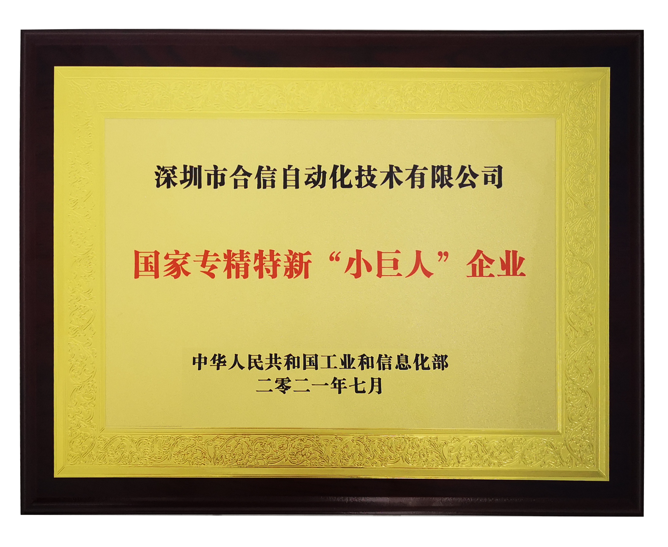 国度专精特精幼巨人.png