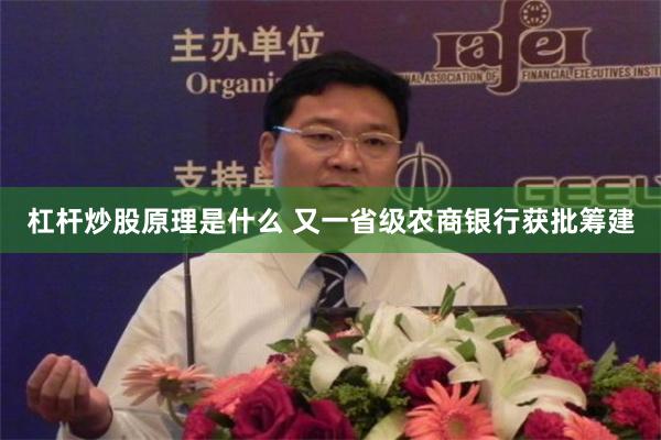 杠杆炒股原理是什么 又一省级农商银行获批筹建