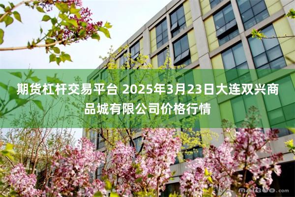 期货杠杆交易平台 2025年3月23日大连双兴商品城有限公司价格行情