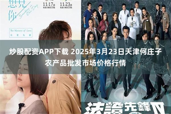 炒股配资APP下载 2025年3月23日天津何庄子农产品批发市场价格行情