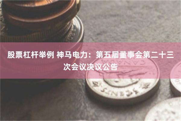 股票杠杆举例 神马电力：第五届董事会第二十三次会议决议公告