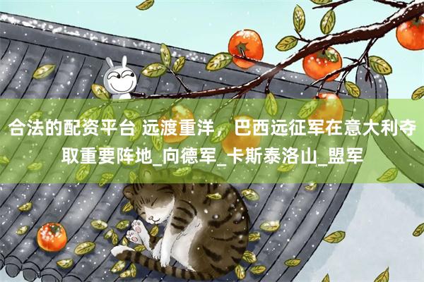 合法的配资平台 远渡重洋，巴西远征军在意大利夺取重要阵地_向德军_卡斯泰洛山_盟军