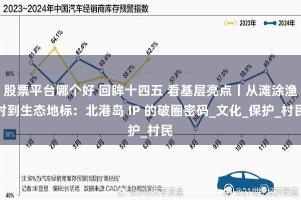 股票平台哪个好 回眸十四五 看基层亮点丨从滩涂渔村到生态地标：北港岛 IP 的破圈密码_文化_保护_村民