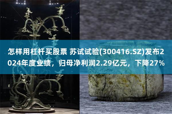 怎样用杠杆买股票 苏试试验(300416.SZ)发布2024年度业绩，归母净利润2.29亿元，下降27%