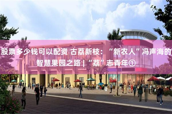 股票多少钱可以配资 古荔新枝：“新农人”冯声海的智慧果园之路 | “荔”志青年①