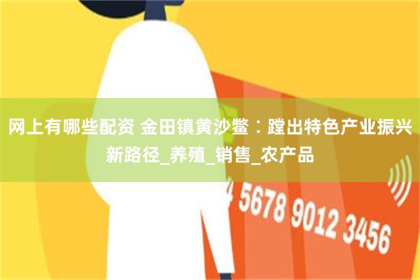 网上有哪些配资 金田镇黄沙鳖∶蹚出特色产业振兴新路径_养殖_销售_农产品