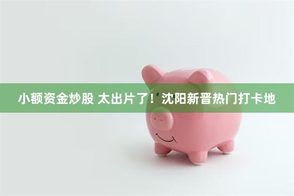 小额资金炒股 太出片了！沈阳新晋热门打卡地