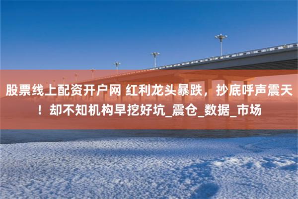 股票线上配资开户网 红利龙头暴跌，抄底呼声震天！却不知机构早挖好坑_震仓_数据_市场
