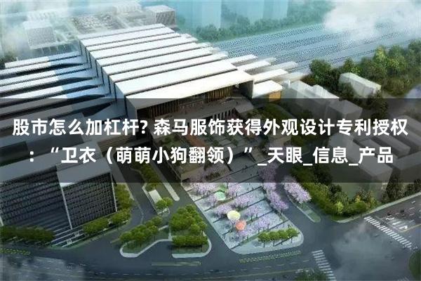 股市怎么加杠杆? 森马服饰获得外观设计专利授权：“卫衣（萌萌小狗翻领）”_天眼_信息_产品