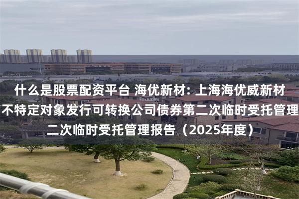 什么是股票配资平台 海优新材: 上海海优威新材料股份有限公司向不特定对象发行可转换公司债券第二次临时受托管理报告(2025年度)
