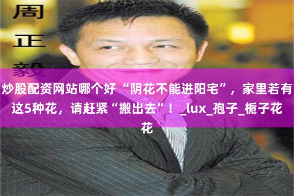 炒股配资网站哪个好 “阴花不能进阳宅”，家里若有这5种花，请赶紧“搬出去”！_lux_孢子_栀子花