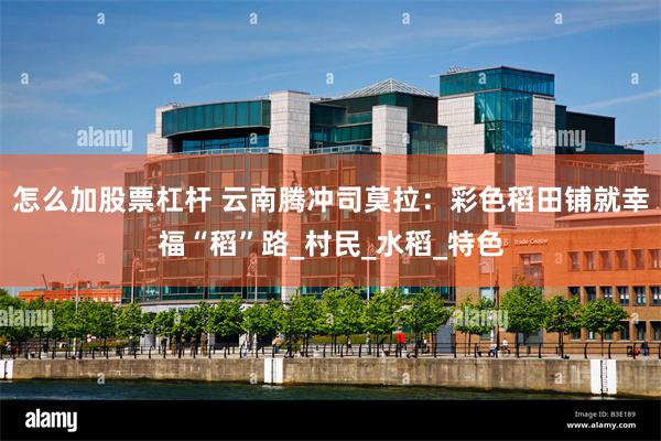 怎么加股票杠杆 云南腾冲司莫拉：彩色稻田铺就幸福“稻”路_村民_水稻_特色