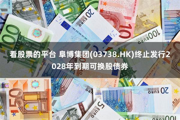 看股票的平台 阜博集团(03738.HK)终止发行2028年到期可换股债券